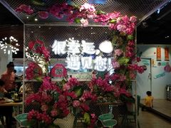 -一笼小幸运