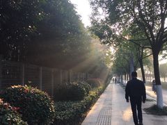 -南京奥林匹克体育中心-体育馆