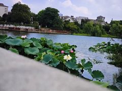-南通濠河风景名胜区
