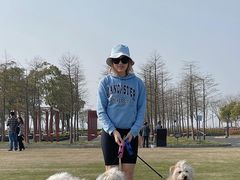 -春花秋色城市公园