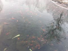 -水磨沟公园