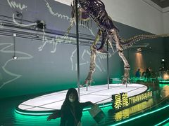 -香港科学馆