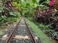 -呀路古热带植物园