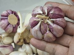 -赵西安三鲜煮馍馆(大车家巷店)