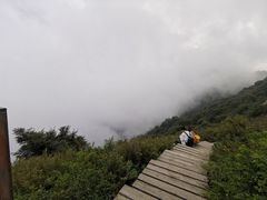 -白草畔自然风景区