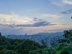 -金鸡山公园