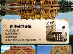 -西双版纳原始森林公园