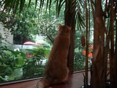 -咖法森林·咖啡  酒吧(天河店)