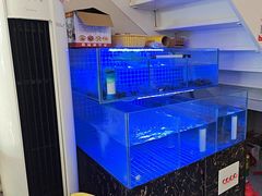 -军子大排档(迎春花园店)