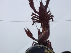 -盱眙虾怪·旗舰店