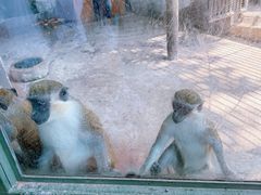 -赭山公园