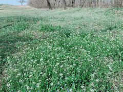 -汉长安城未央宫国家考古遗址公园