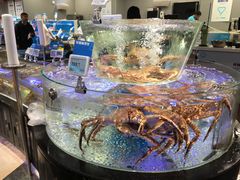 -盒马鲜生(悠方店)