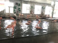 -哈尔滨北方森林动物园