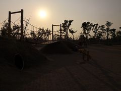 -上海长兴岛郊野公园