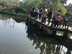 -西湖外事游船(花港观鱼码头)