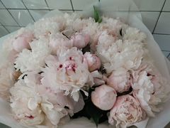 -COTTON CAFE(德信·中外公寓店)