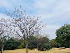 -南京市江宁方山