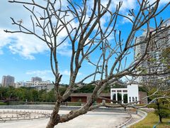 -金鸡岭桥头公园