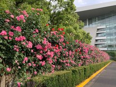 -上海科技馆(地铁站)