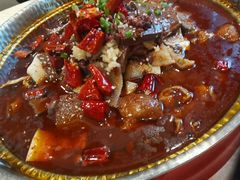 -新侨小馆(东直门北小街店)