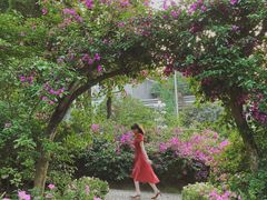 -重庆市江北嘴中央商务区中央公园