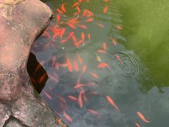 -东坡赤壁风景名胜区