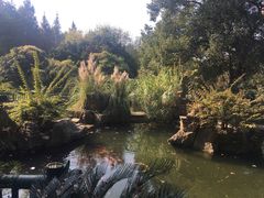 -东湖落雁景区