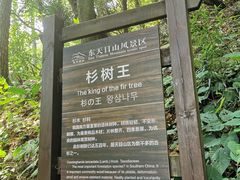 -东天目山风景区