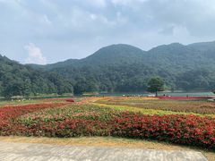 -广州市石门国家森林公园