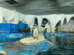 -太平洋海底世界