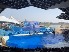 -上海海昌海洋公园