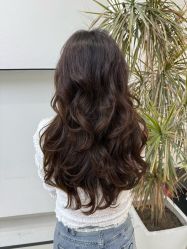 -FINE HAIR 烫染专业设计