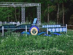 -桤木河湿地公园