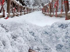 -少华山国家森林公园