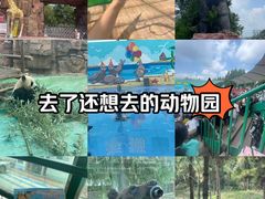 -五龙山野生动物王国