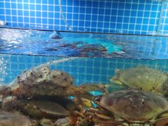 水产区-望海潮海鲜店 特色家常菜(在海一方店)