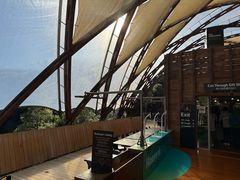 -怀托摩萤火虫洞