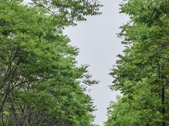 -老街烧烤大排档·地道湖北菜·龙虾馆(汉口火车站店)