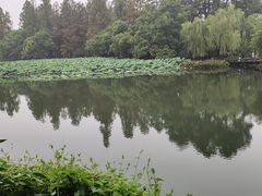 -西湖游船