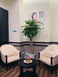 -史云逊养发护发