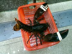 -蚝专家(北滘店)