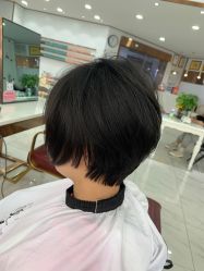 -镁连社·美联社