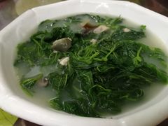 -姚林轩