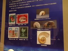 -桂林博物馆
