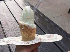 -野人先生现做冰淇淋(北京顺义祥云小镇店)