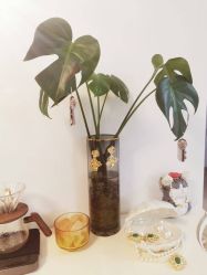 -美肤盾祛痘·问题肌头疗管理中心