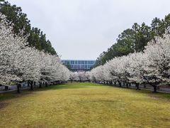 -同济大学(嘉定校区)