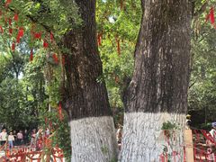 -三国赤壁古战场