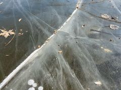 -中家鑫园温泉酒店鑫悦汤泉